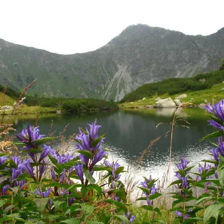 Drevenica Nela - Západné Tatry Hébergement de vacances