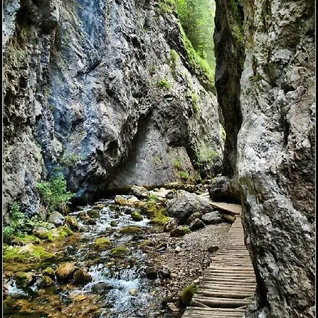 Drevenica Nela - Západné Tatry Hébergement de vacances