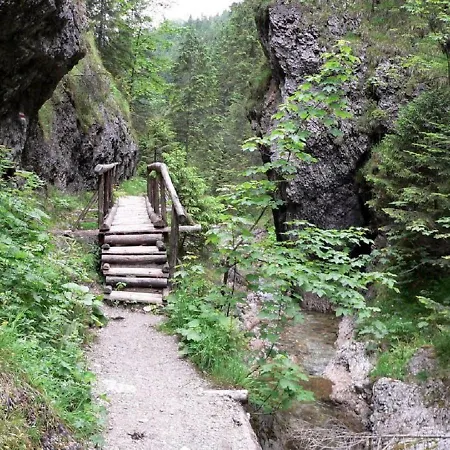 Drevenica Nela - Chalet In Tatras Prázdninový dům *